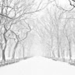 Meet your Posher, Wyatt